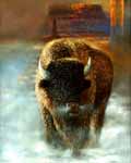 buffalo v