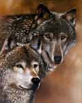 Two  Timber Wolves