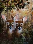 twin deer