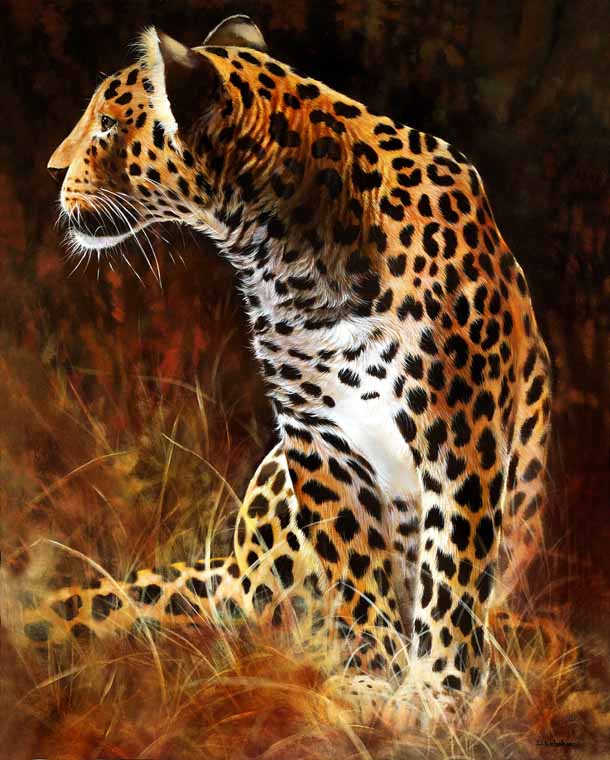 Leopard